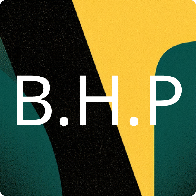 Berliner Häuser Projektmanagement GmbH placeholder