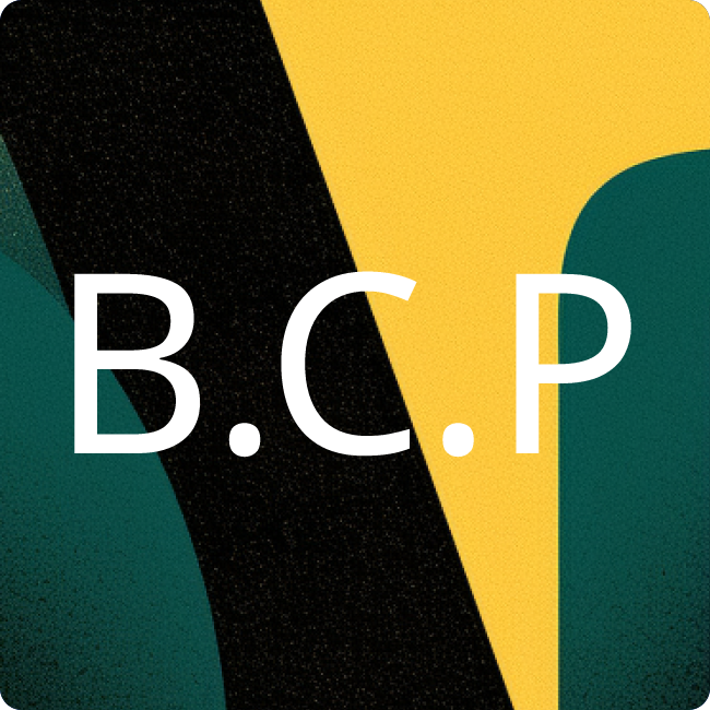 BlackFin Capital Partners placeholder