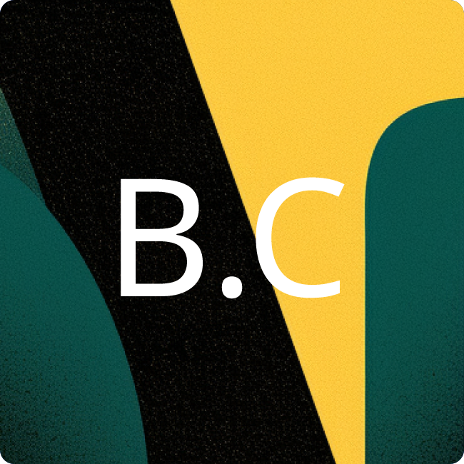 Borlinghaus Consulting placeholder