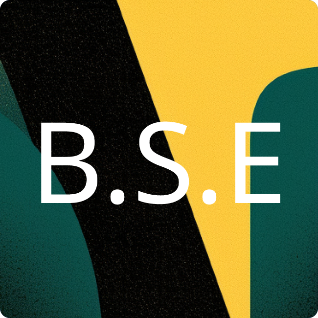 Bundesverband Solarwirtschaft e.V. placeholder