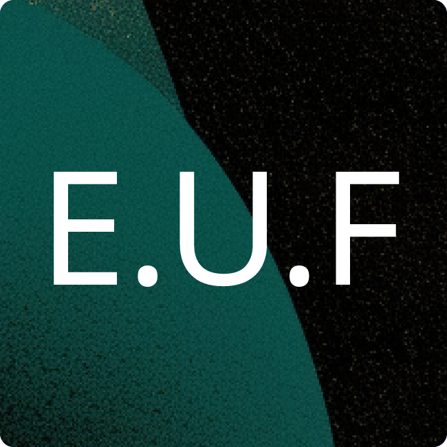 EBS Universität für Wirtschaft und Recht placeholder