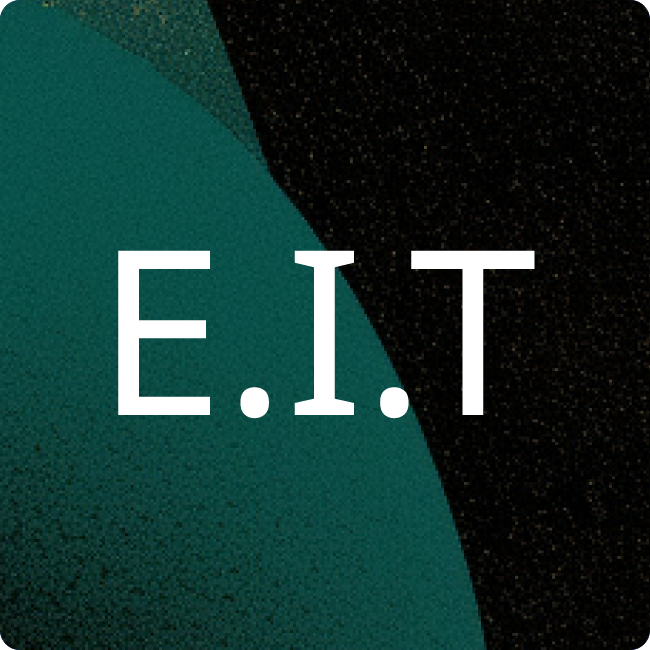ELLIS Institute Tübingen gGmbH placeholder