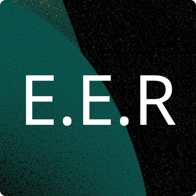 ENRW Energieversorgung Rottweil GmbH & Co. KG placeholder