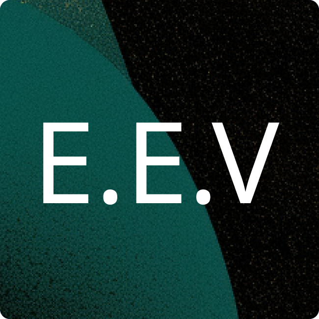 EVG Elektro-Vertriebs-Gesellschaft Martens GmbH & Co. KG placeholder