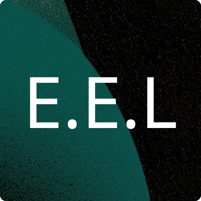 EVL Energieversorgung Limburg GmbH placeholder