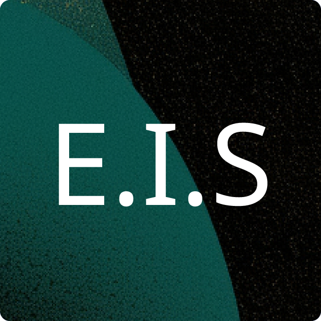 EXEC IT Solutions GmbH placeholder