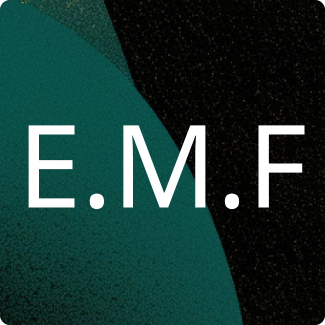 Edition Michael Fischer GmbH placeholder