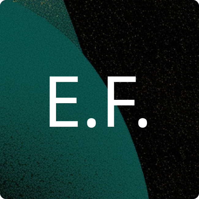Emergy Führungs- und Servicegesellschaft mbH placeholder
