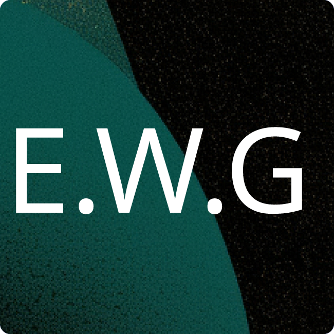 Erich Werkmeister GmbH & Co. KG placeholder