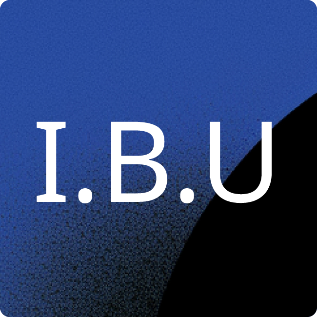 Ingenieurbüro Bölk und Gantner GmbH placeholder