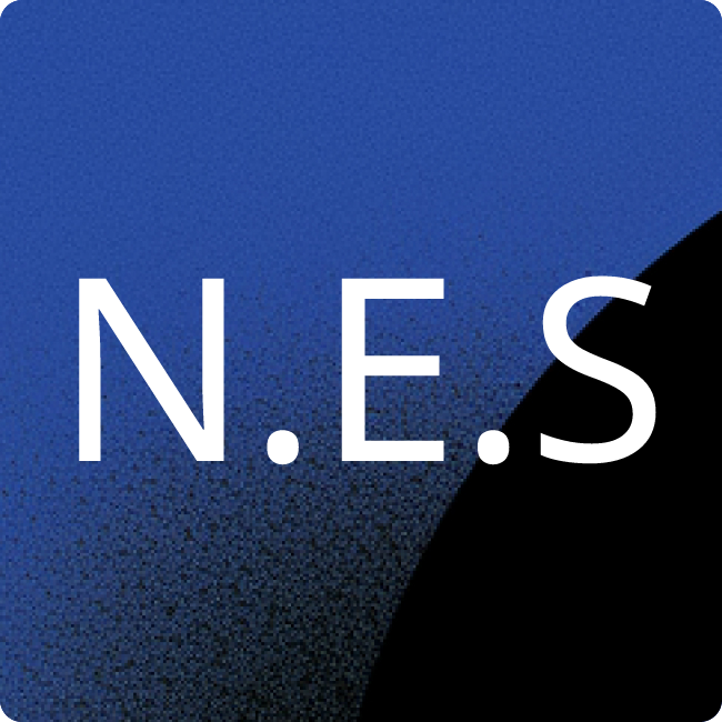 Nesslog Expert Services GmbH placeholder