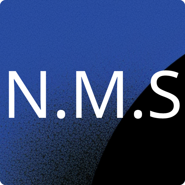 New Mobility Solutions Hamburg GmbH placeholder