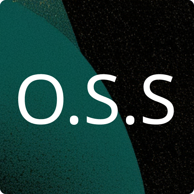 Olga Selmer Steuerberatung placeholder