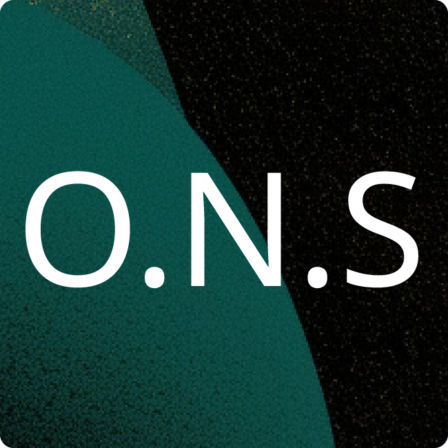 Online NetCom Systemhaus GmbH placeholder