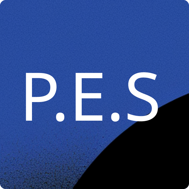 PAWLIK Executive Search Consultants GmbH placeholder