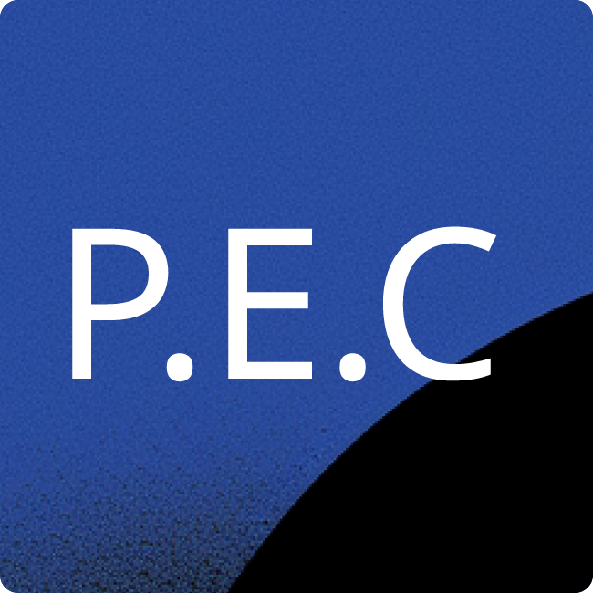 PMCI Executive Consulting GmbH placeholder