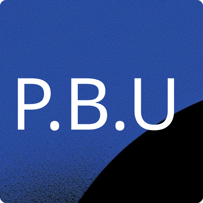 PRANGE BERATUNG UND PRÜFUNG placeholder