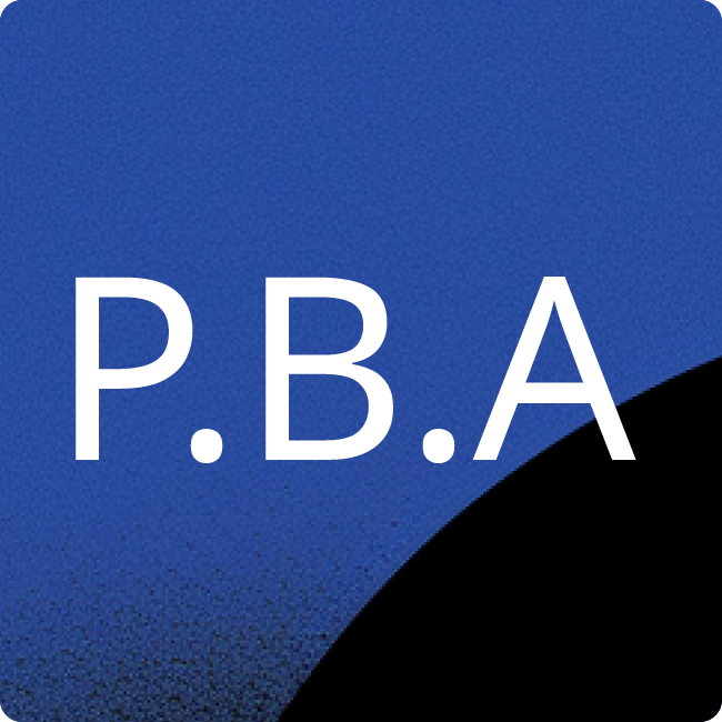 PROBAT Bau AG placeholder