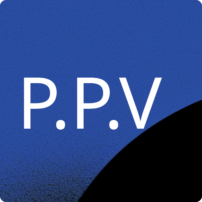 PVM Private Values Media AG placeholder