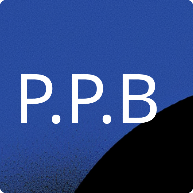 Pro Prognos Bonn e.V. placeholder