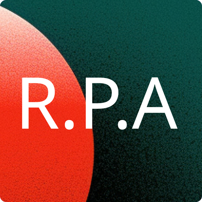 RISE PARTNERS Audit GmbH Wirtschaftsprüfungsges. placeholder