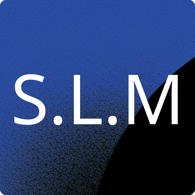 SPD-Landtagsfraktion Mecklenburg-Vorpommern placeholder