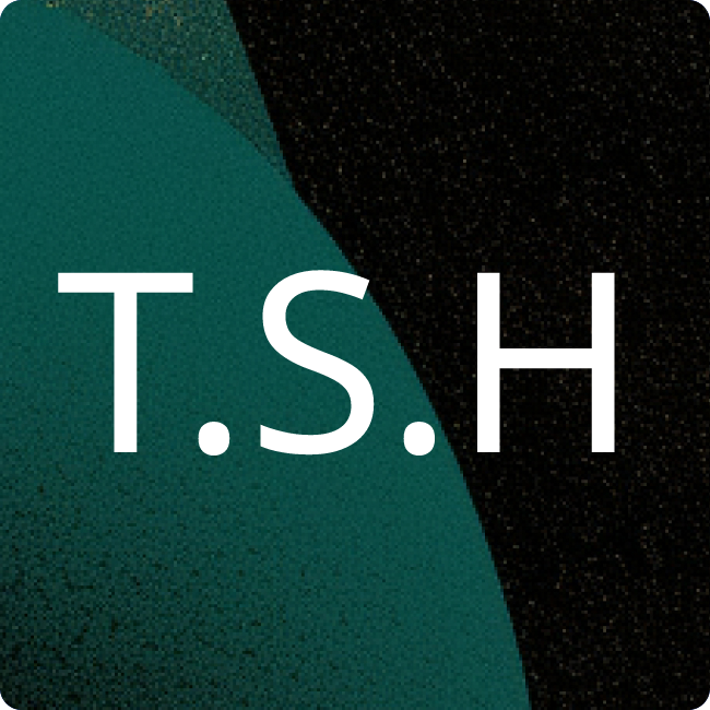 T+S Helmrath Logistik GmbH placeholder