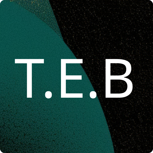 T e b i s Technische Informationssysteme AG placeholder