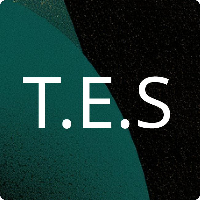 TES Electronic Solutions GmbH placeholder
