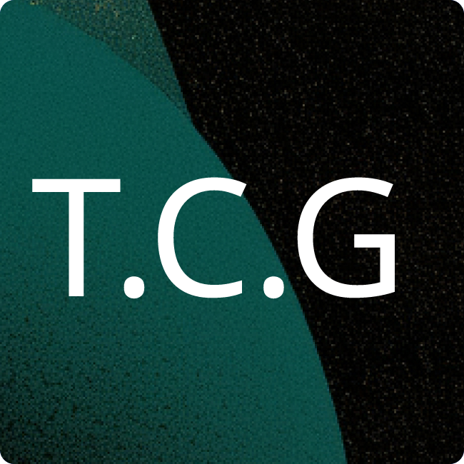 TRICONNECT Consulting GmbH placeholder