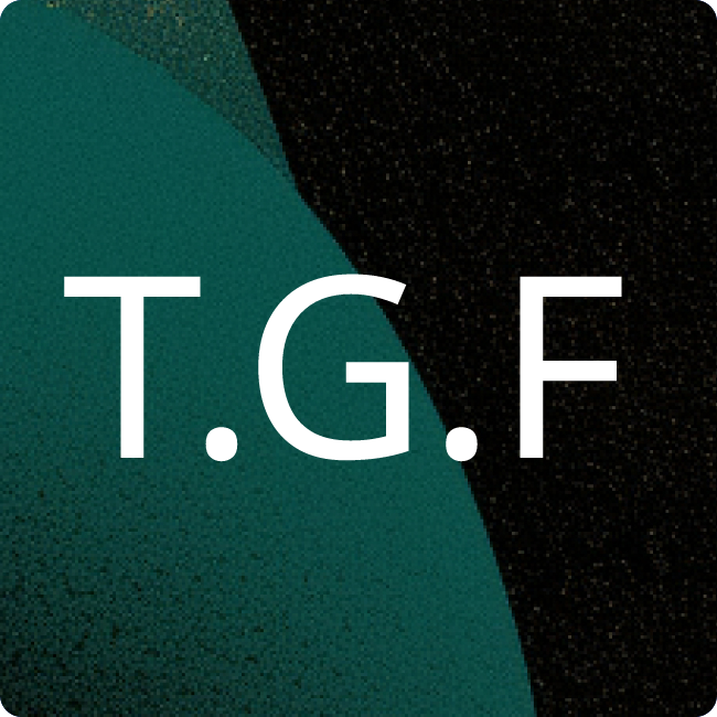 TSL Gesellschaft für Trockenbau Organisation mbH Leipzig placeholder