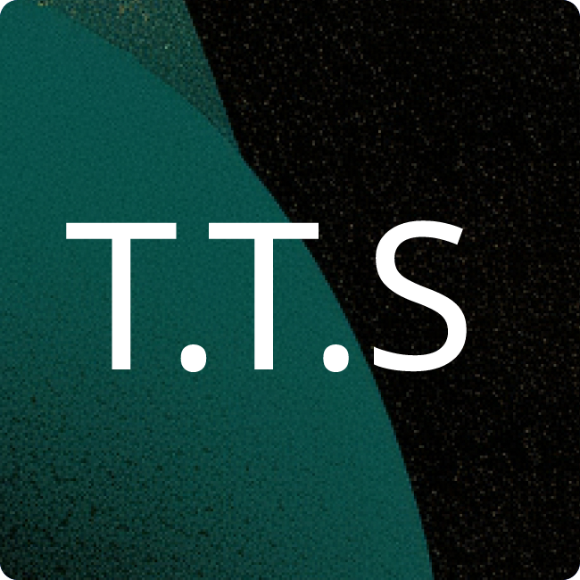 TTS Tooltechnic Systems AG & CO. KG placeholder