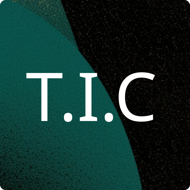 Techtronic Industries Central Europe GmbH placeholder
