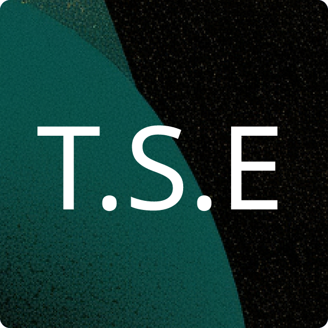 Tempel Steel Europe GmbH placeholder