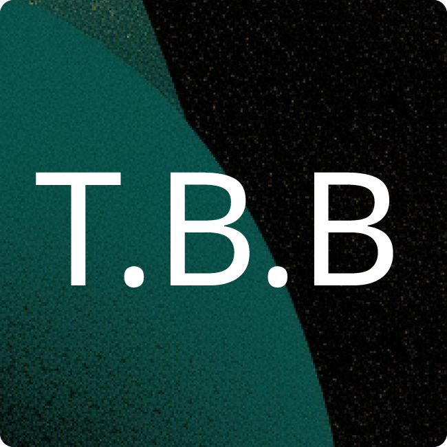 Ten Brinke Bau GmbH & Co. KG placeholder