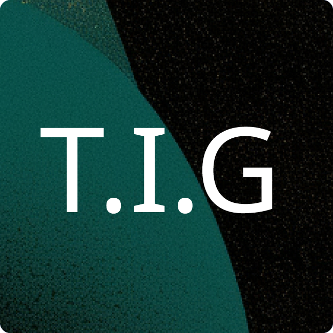 Teupe Infra Gerüstbau GmbH placeholder