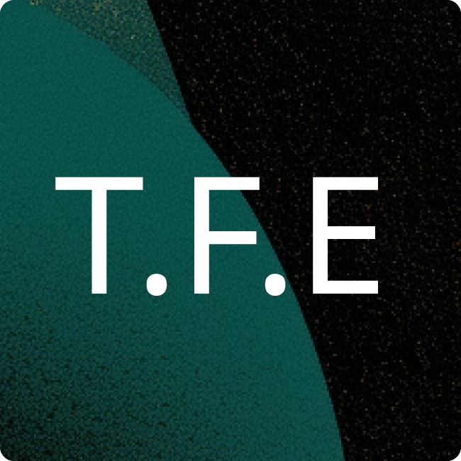 Theo Fischer Erdbau GmbH placeholder