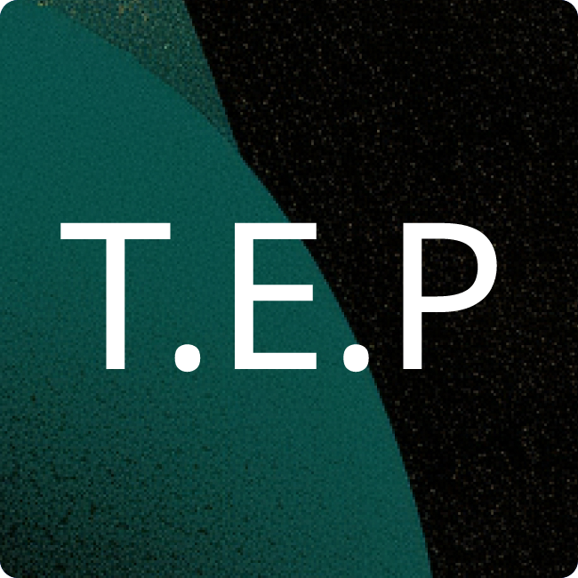 Tiger Energy Project GmbH placeholder