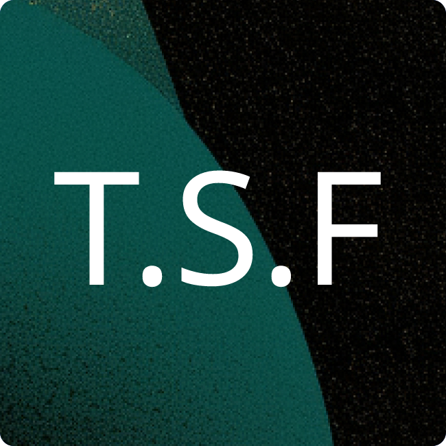 Traffics Softwaresysteme für den Tourismus GmbH placeholder