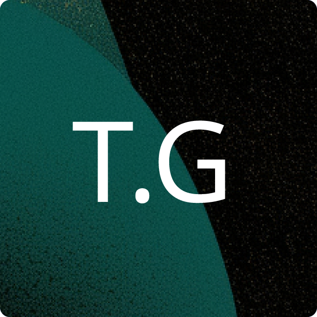TransnetBW GmbH placeholder