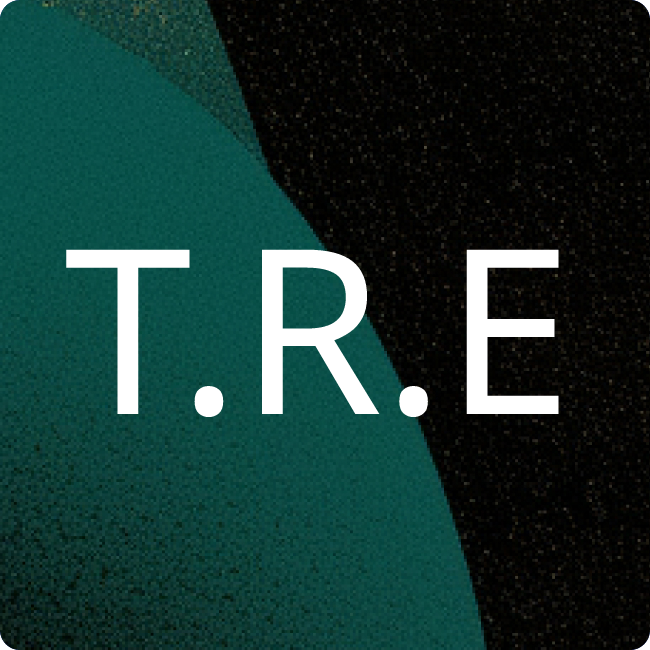 Trei Real Estate GmbH placeholder