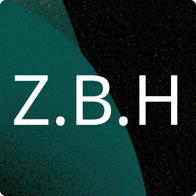 ZECH Bau Holding GmbH placeholder
