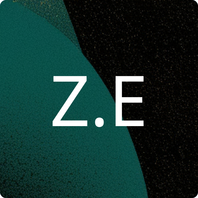ZVEI e.V. placeholder