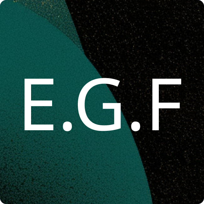 eNeG Gesellschaft für wirtschaftlichen Energieeinsatz mbH placeholder