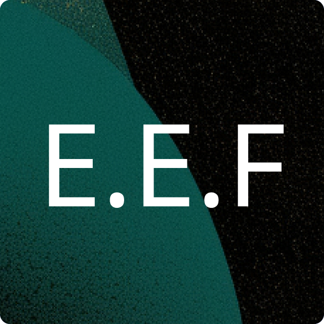 erfi Ernst Fischer GmbH + Co. KG placeholder