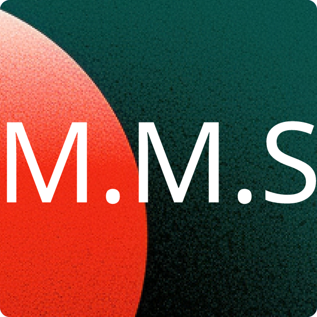 msb mobile solutions for business GmbH placeholder