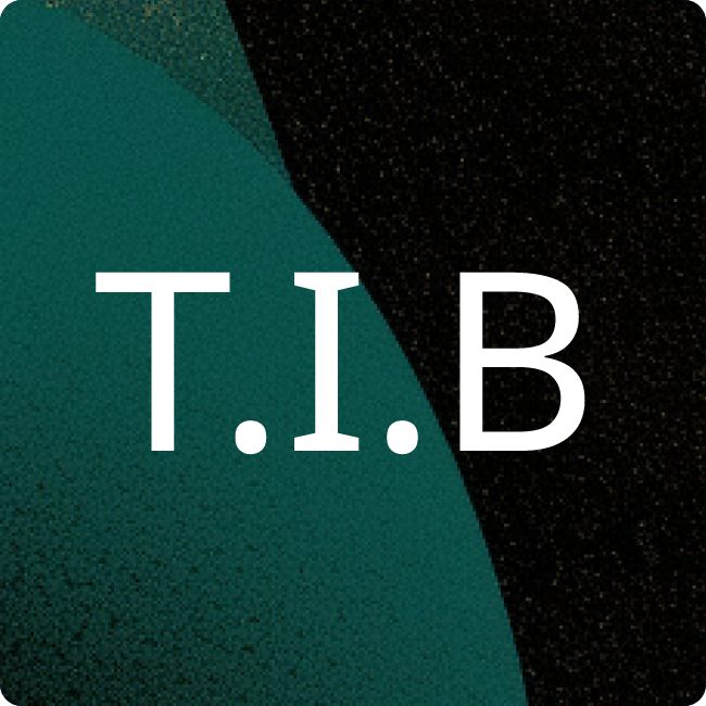 tri immo bau GmbH placeholder